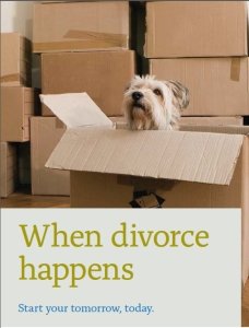 divorce financial guide 
