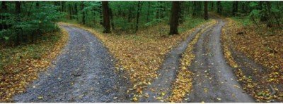 fork in the road financial