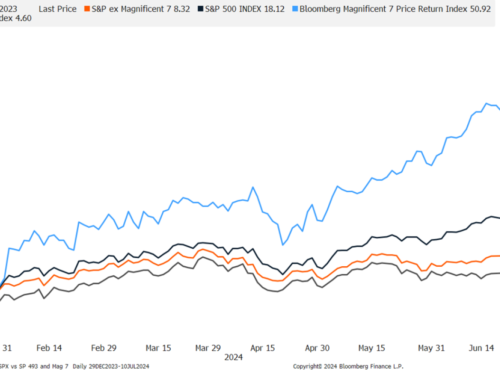 Market Performance Remains a Tale of Haves and Have-Nots