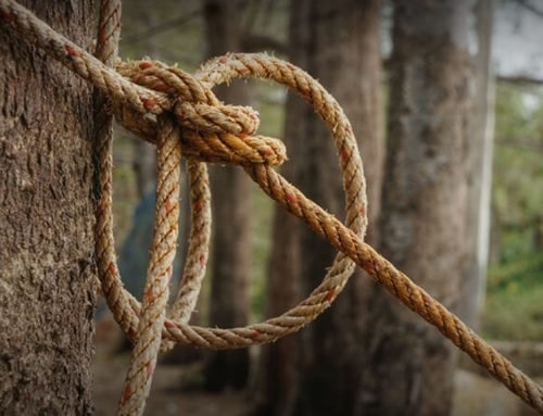 How to Make the Tax Code Work for You