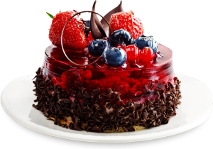 build credit history